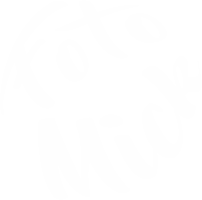 Fotomick